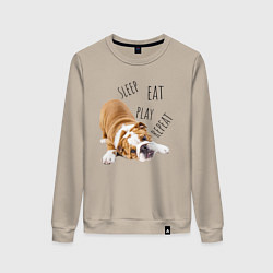 Свитшот хлопковый женский Sleep Eat Play Repeat Бульдог, цвет: миндальный
