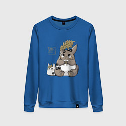 Женский свитшот Тоторо