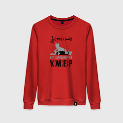 Женский свитшот Кот Шредингера