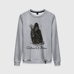 Свитшот хлопковый женский Children of Bodom Z, цвет: меланж
