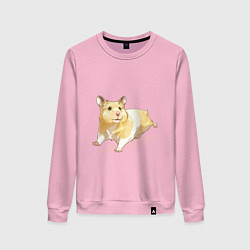 Женский свитшот Бегущий хомячек рисунок