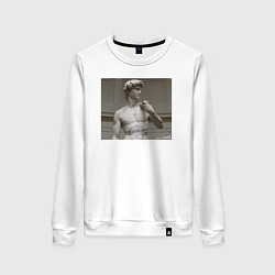 Женский свитшот ДАВИД МИКЕЛАНДЖЕЛО