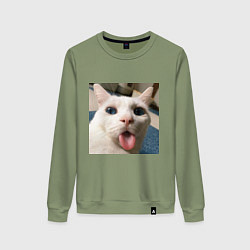 Женский свитшот Мем про кота