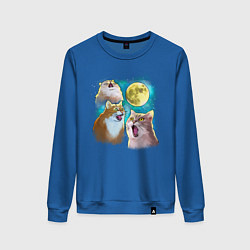 Женский свитшот Котики воют на Луну