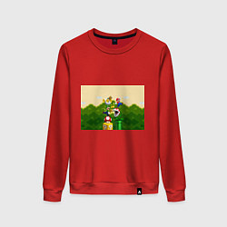 Женский свитшот Mario Coins