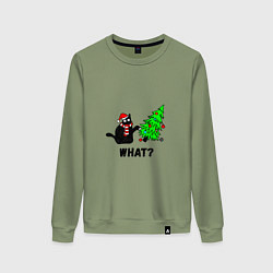 Женский свитшот Кот роняет елку