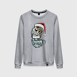 Свитшот хлопковый женский X-mas Owl, цвет: меланж