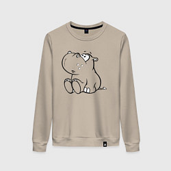 Женский свитшот Бегемотик детский cotton theme