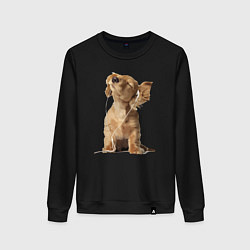 Женский свитшот Музыка - это всё для меня!