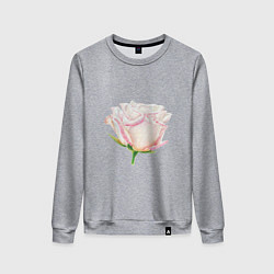 Свитшот хлопковый женский Акварельная роза, цвет: меланж