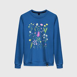 Свитшот хлопковый женский Полевые цветы, растения акварелью Ботаника, цвет: синий