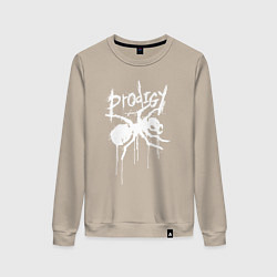 Женский свитшот Draw white logo - Ant