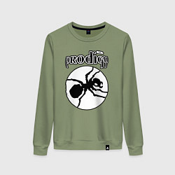Женский свитшот The prodigy ant