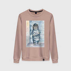 Женский свитшот Акварельный рисунок плохой кот