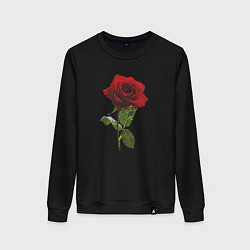 Свитшот хлопковый женский Красивая красная роза, цвет: черный