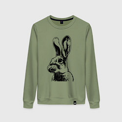 Свитшот хлопковый женский Wild rabbit, цвет: авокадо