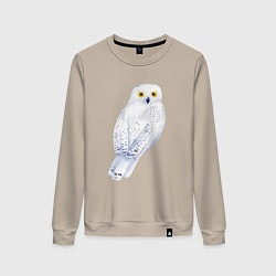Женский свитшот Белая полярная сова