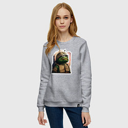 Свитшот хлопковый женский Лягушонок Пепе солдат, цвет: меланж — фото 2