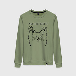 Свитшот хлопковый женский Architects - rock cat, цвет: авокадо
