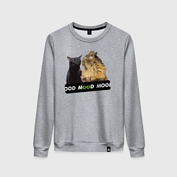 Женский свитшот Черный и рыжий кот - Mood