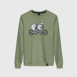 Женский свитшот Енотики на велике