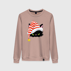 Женский свитшот Новогодний черный кот в новогоднем колпаке