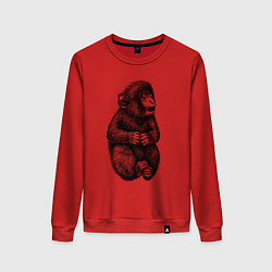 Женский свитшот Мартышка удивлена