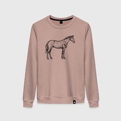 Свитшот хлопковый женский Лошадь стоит в профиль, цвет: пыльно-розовый