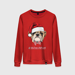 Свитшот хлопковый женский Новогодний английский бульдог с бабочкой в шапке с, цвет: красный