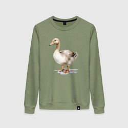 Свитшот хлопковый женский Серый гусь, цвет: авокадо
