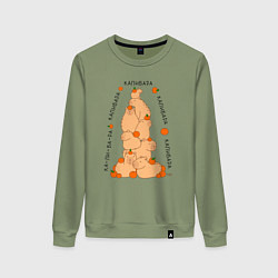 Женский свитшот Гора капибара