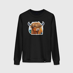 Женский свитшот Шотландский волосатый бык
