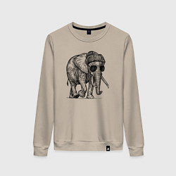 Свитшот хлопковый женский Слон-хипстер, цвет: миндальный