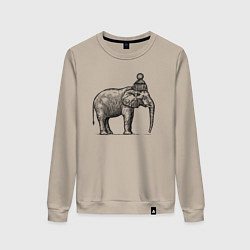 Свитшот хлопковый женский Слону холодно, цвет: миндальный