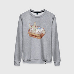 Женский свитшот Ghibli Totoro
