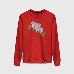 Женский свитшот Коала спит на ветке