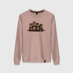 Женский свитшот Мультяшные бобры