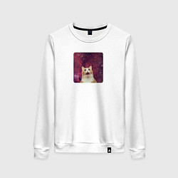 Свитшот хлопковый женский Рыжий кот в космосе мем, цвет: белый