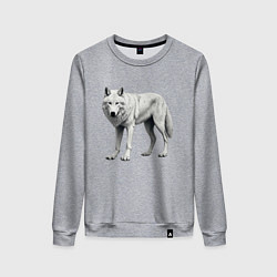 Женский свитшот Белый волк альфа