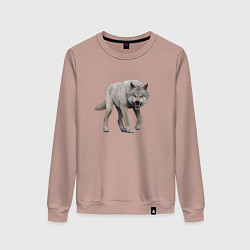 Женский свитшот Волк рычит