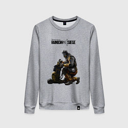 Свитшот хлопковый женский Сидж, цвет: меланж