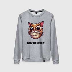Свитшот хлопковый женский Зачем я здесь, цвет: меланж