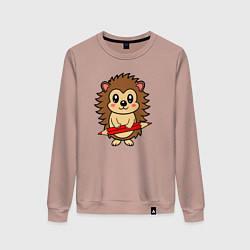 Женский свитшот Ёжик и красный карандащ