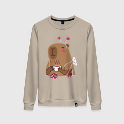 Женский свитшот Капибара с шоколадкой