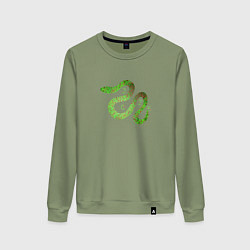 Женский свитшот Змея зеленая 2025