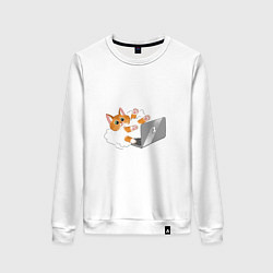 Женский свитшот Милый котик программист усердно печатает