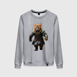Женский свитшот Кот викинг