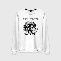 Свитшот хлопковый женский Architects - rock dog, цвет: белый