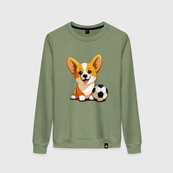 Женский свитшот Корги с футбольным мячом