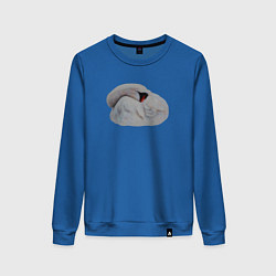 Женский свитшот Спящий лебедь